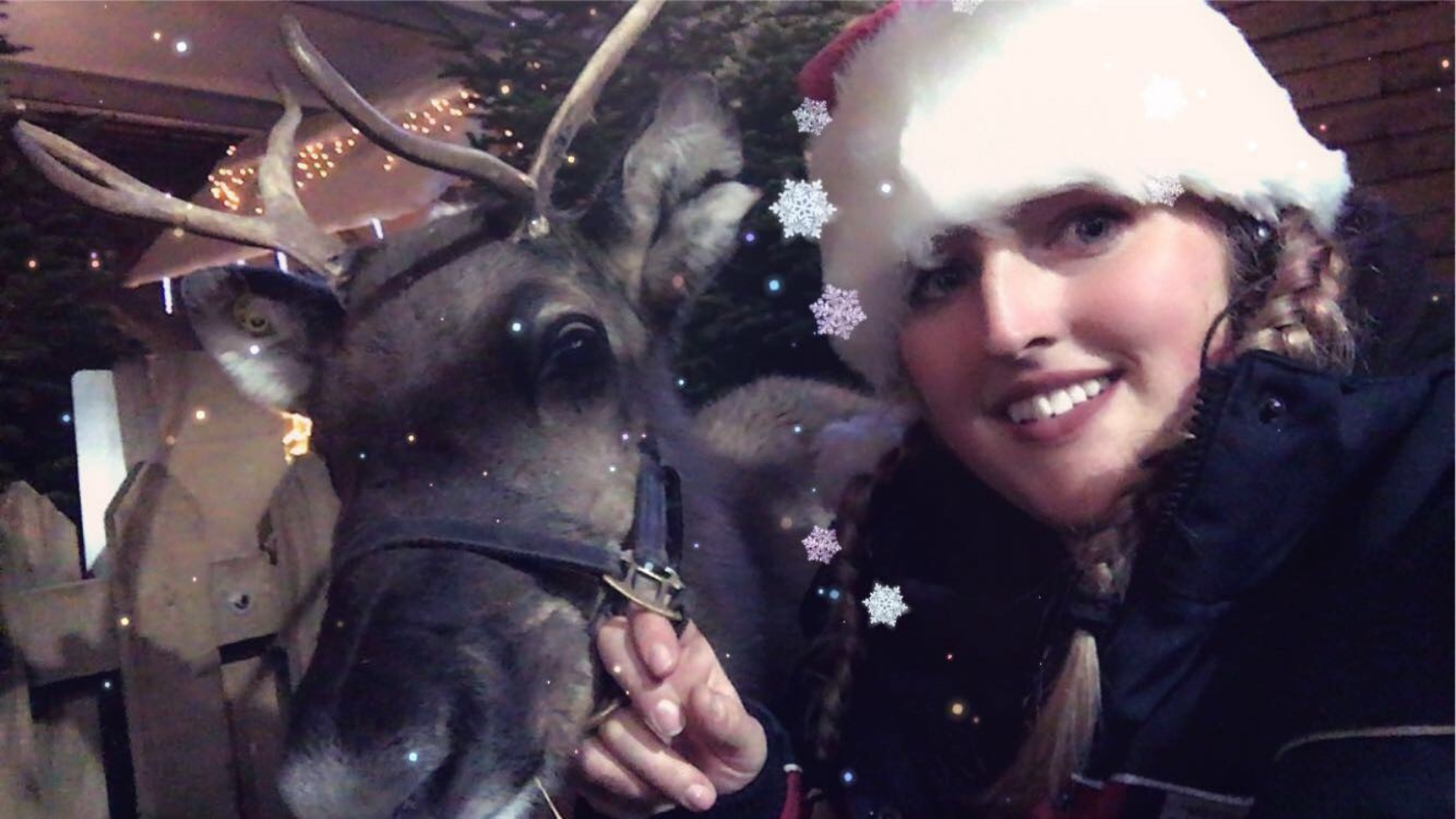 Reindeer herder hopes Muddy Matches can play Cupid