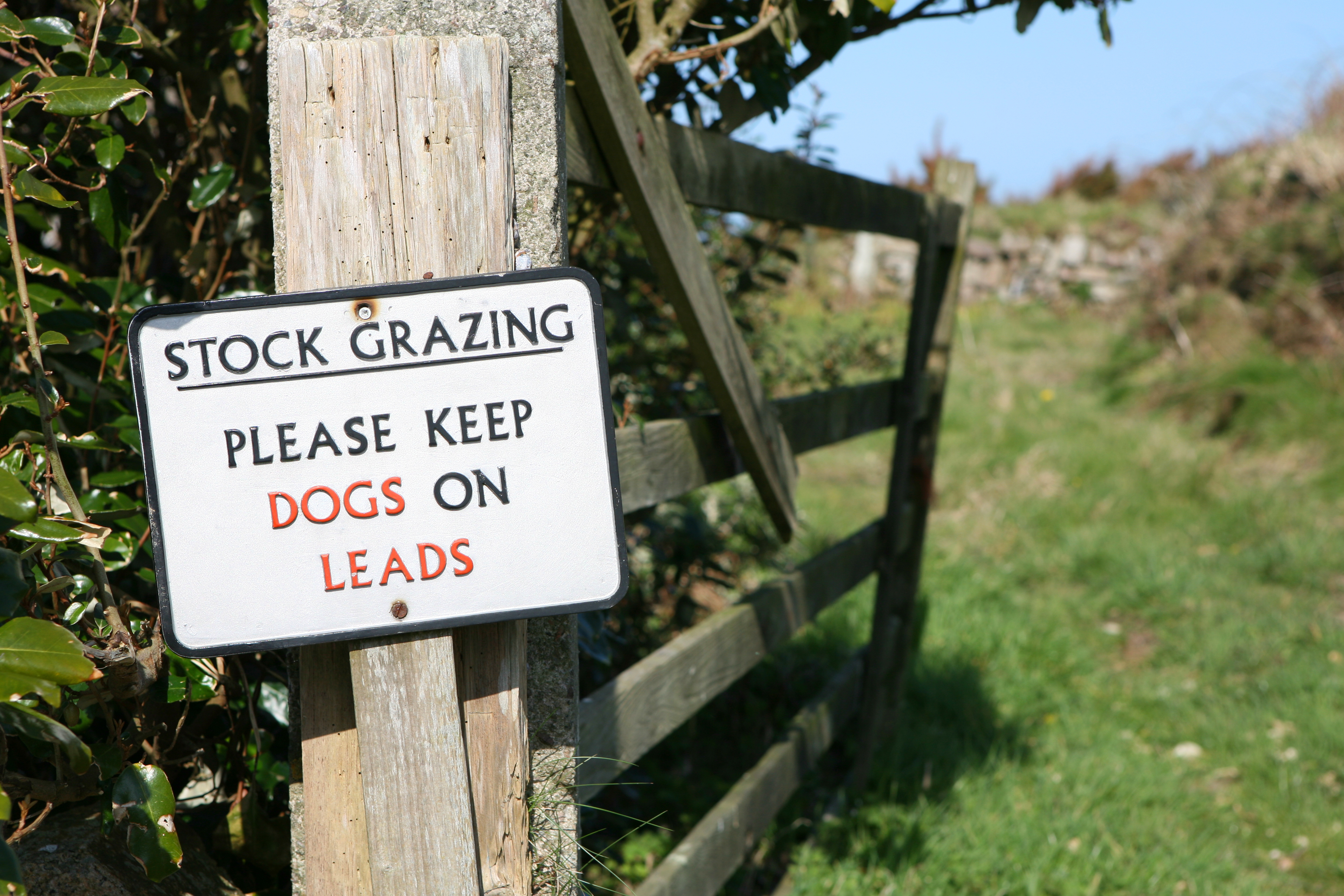 Countryside Code refresh is timely and relevant
