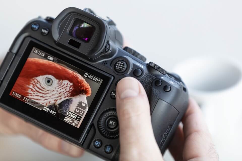 EOS R6 von hinten