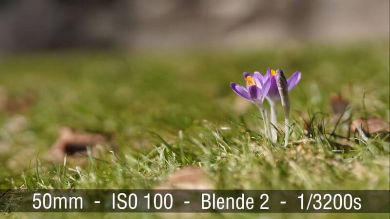 Sony FE 50mm Bokeh Effekt