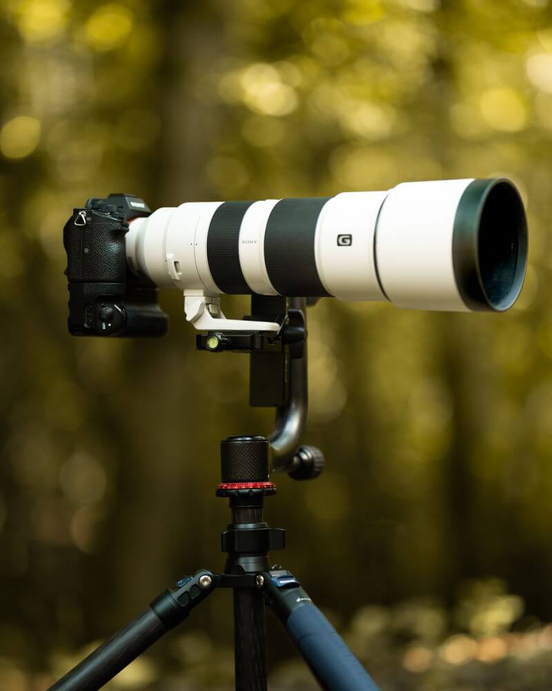 Sony A7RIV Fazit