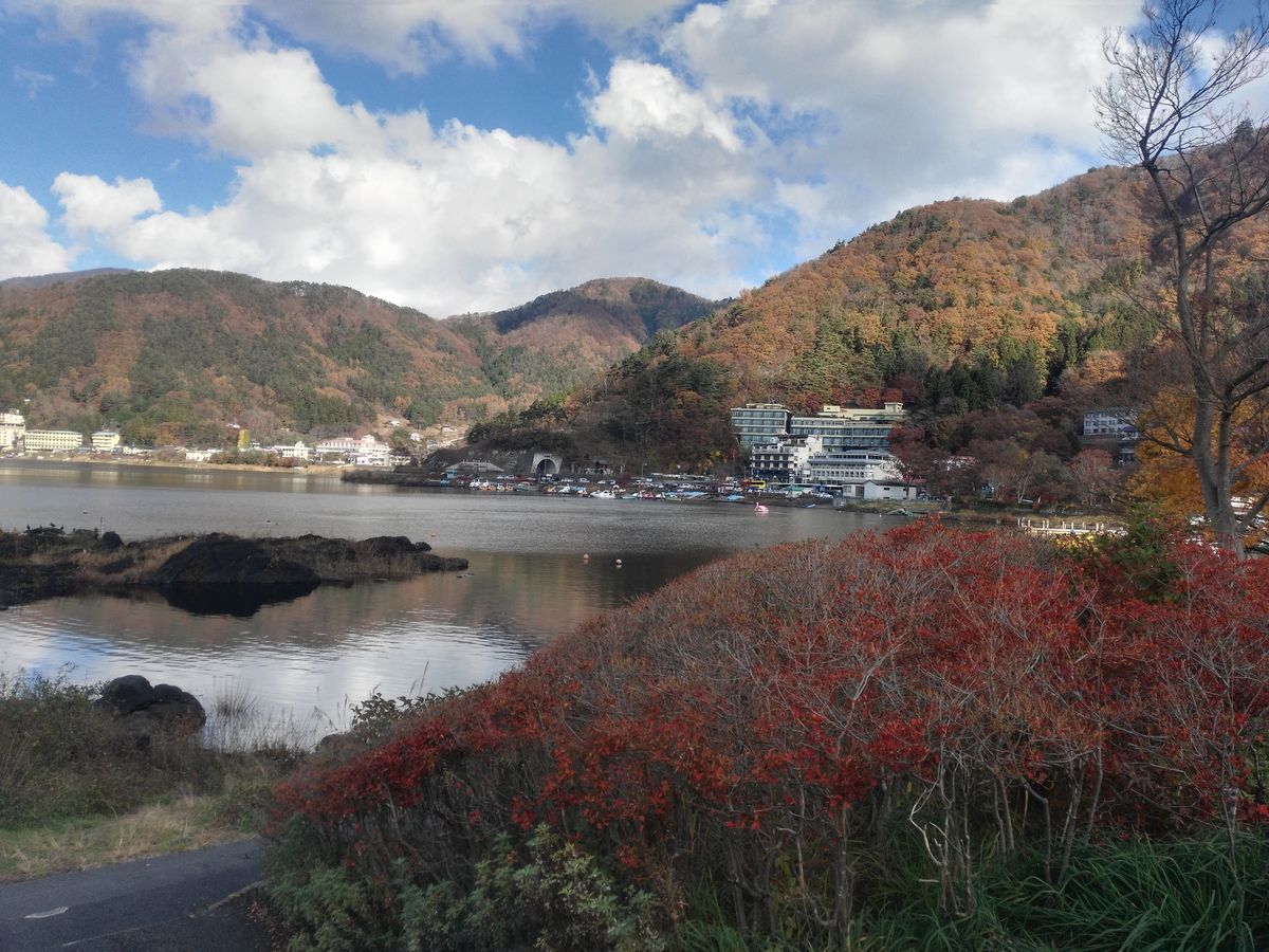 Japonia
