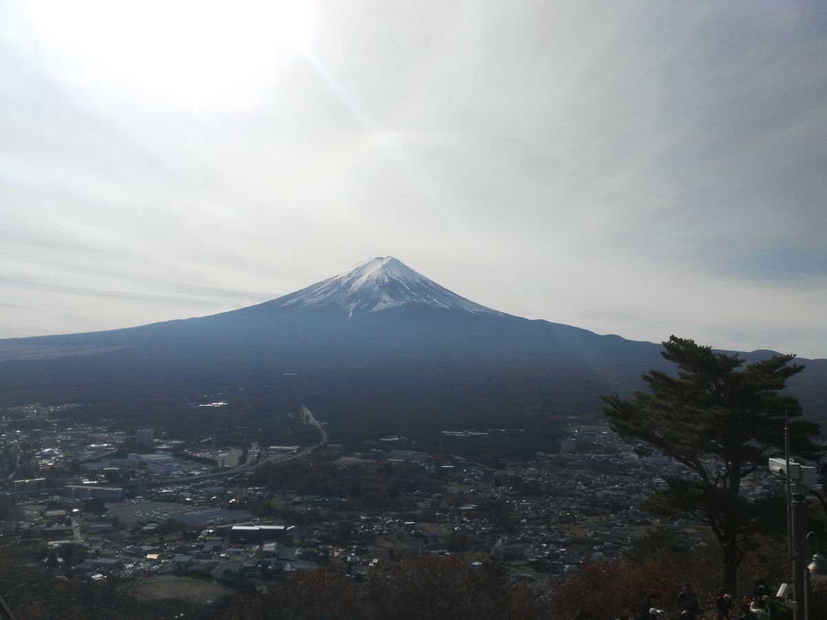 Japonia