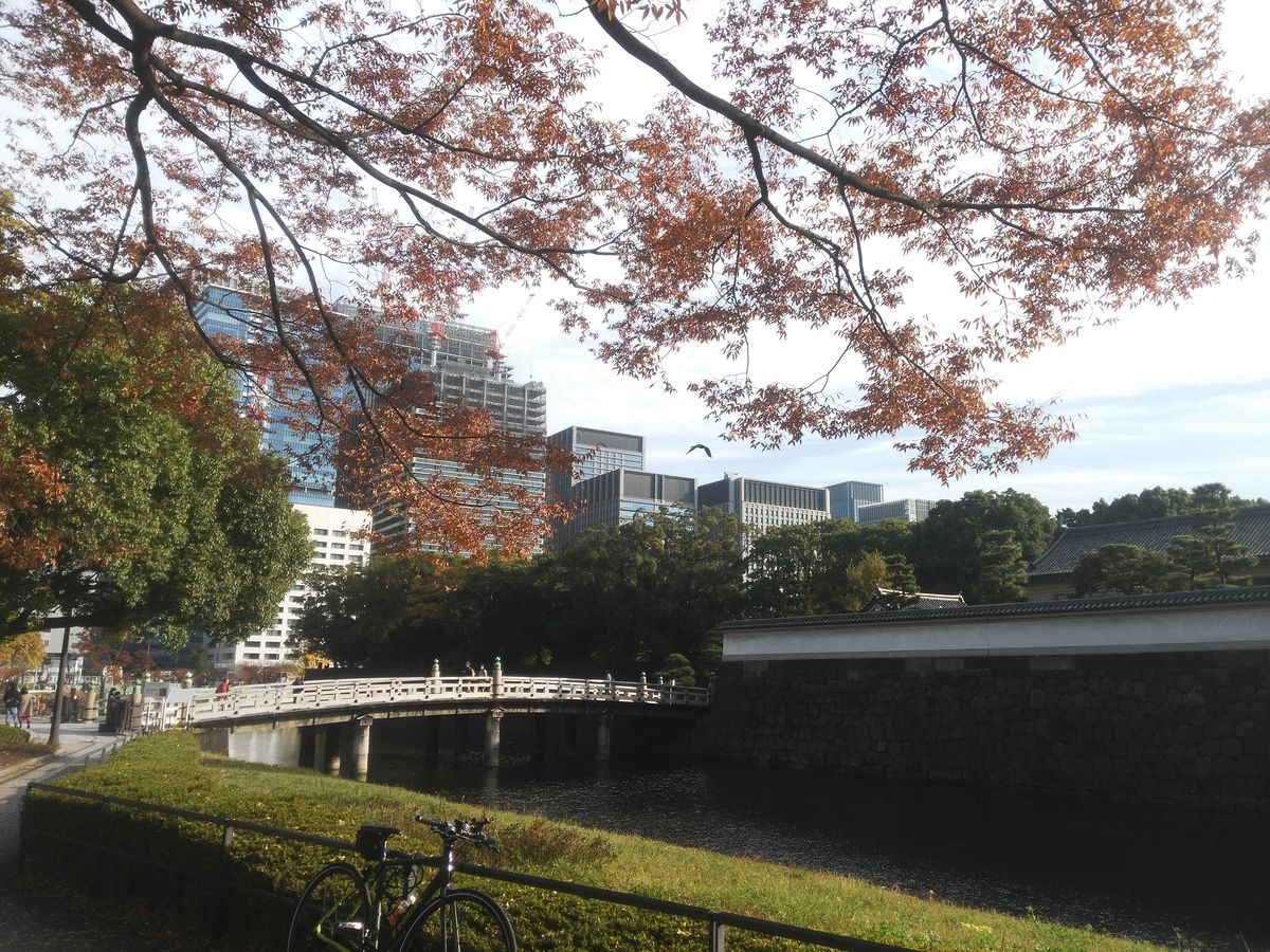 Japonia