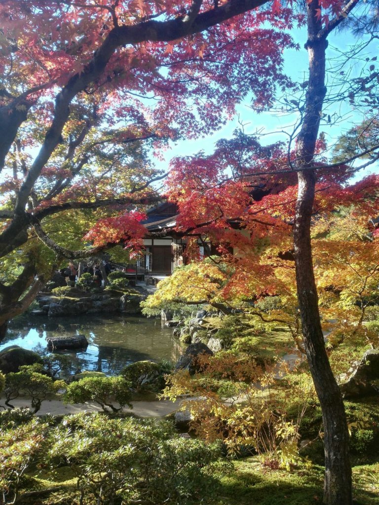 Japonia