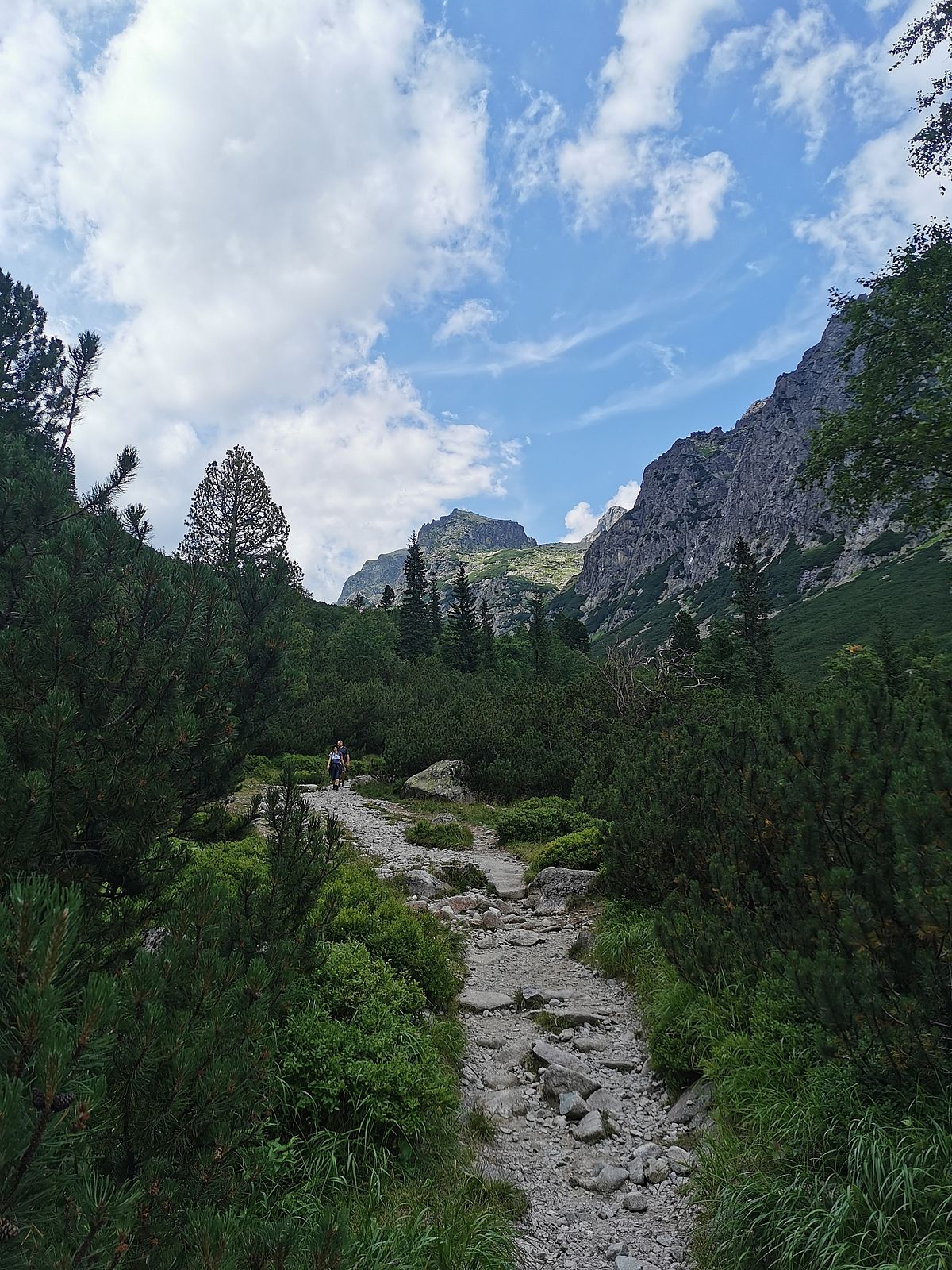 Tatry