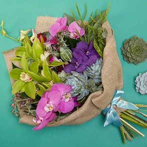 Bloom Magic - Flower Delivery Ireland - A curious bouquet of pink orchids mixed with green succulents. This bouquet will be a favorite with catucus lovers! Hand-tied and wrapped up with a satin ribbon. Our next day flower delivery is available to Ireland and same day flower delivery to Dublin. 