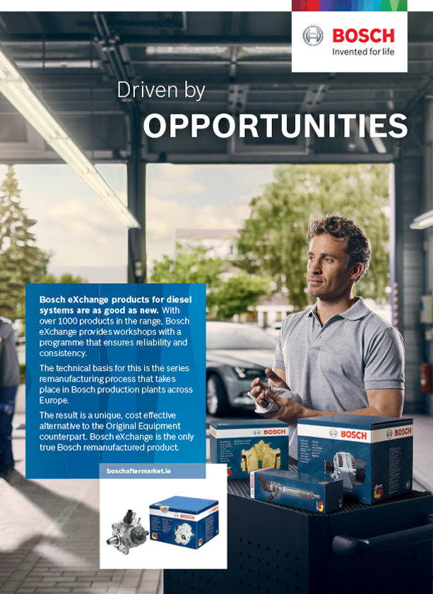 Boschauto2