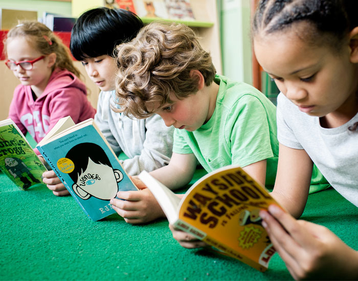 The Literary Curriculum