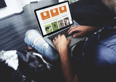 Amputee Dog website design