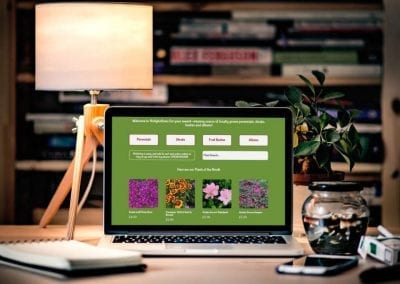Plant E-Commerce website design