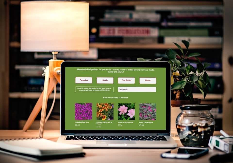 Plant E-Commerce website design