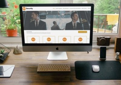 Pro Security Website