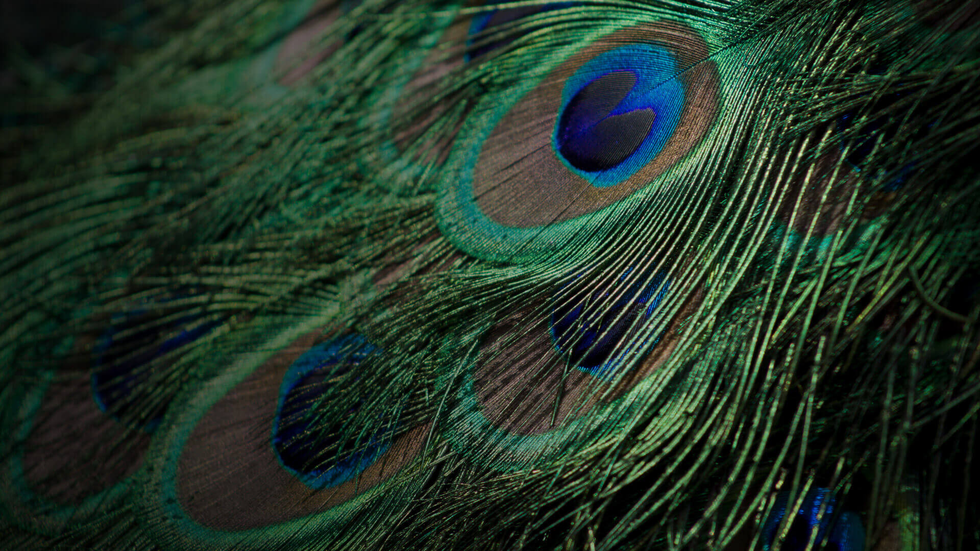 10 Incredible Patterns & Textures Techniques