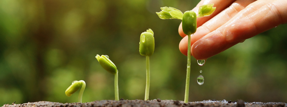 12 Ways to Grow Your Print Business