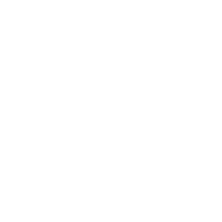 Meet the Team
