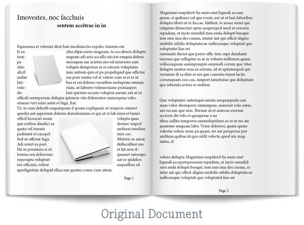 Original Document Original Document