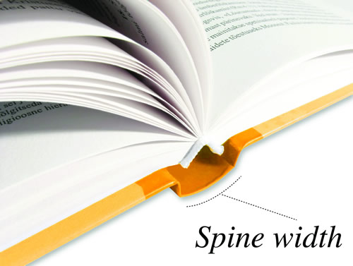 Spine Calculator Spine Calculator