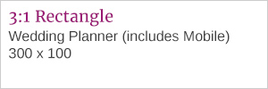 Wedding Advertisement 3:1 Rectangle