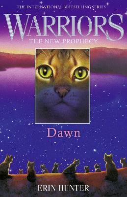 Dawn