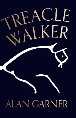 Treacle Walker by Alan Garner