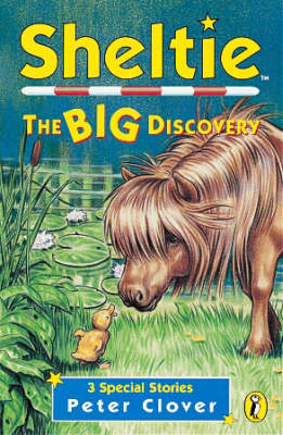 Sheltie: The Big Discovery