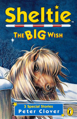 Sheltie: The Big Wish