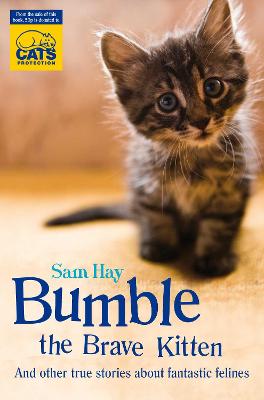 Bumble the Brave Kitten: In association with Cats Protection