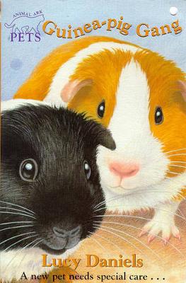 Guinea Pig Gang