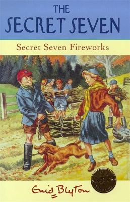 Secret Seven Fireworks: Book 11