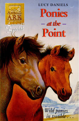 Ponies at the Point