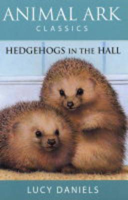 Hedgehogs in the Hall