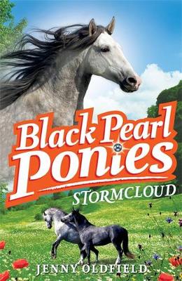 Stormcloud: Book 4