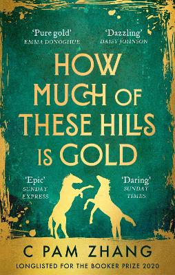 How Much of These Hills is Gold: 'A tale of two sisters during the gold rush ... beautifully written' The i, Best Books of the Year by C Pam Zhang