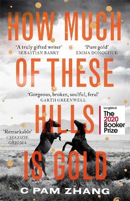 How Much of These Hills is Gold: 'The boldest debut of the year' Observer by C Pam Zhang