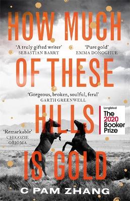 How Much of These Hills is Gold: 'The boldest debut of the year' Observer by C Pam Zhang