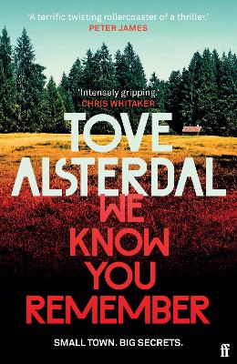 We Know You Remember: The No. 1 International Bestseller by Tove Alsterdal, and Alice Menzies