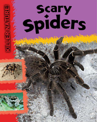 Scary Spiders