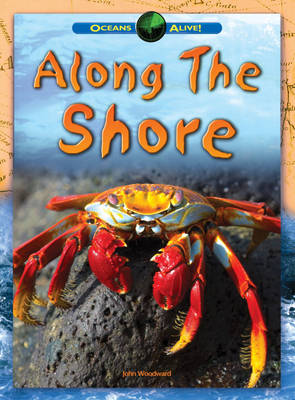 Along The Shore