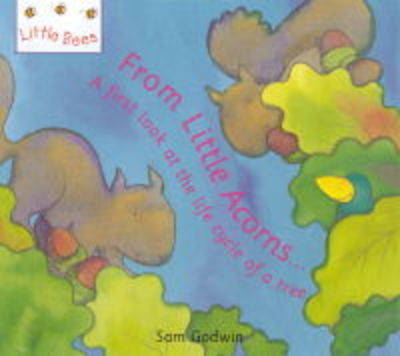 From Little Acorns: A First Look at the Life Cycle of a Tree