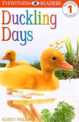 E/W READERS: DUCKLING DAYS - LEVEL 1 1st Edition - Paper