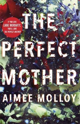 The Perfect Mother: A gripping thriller with a nail-biting twist by Aimee Molloy