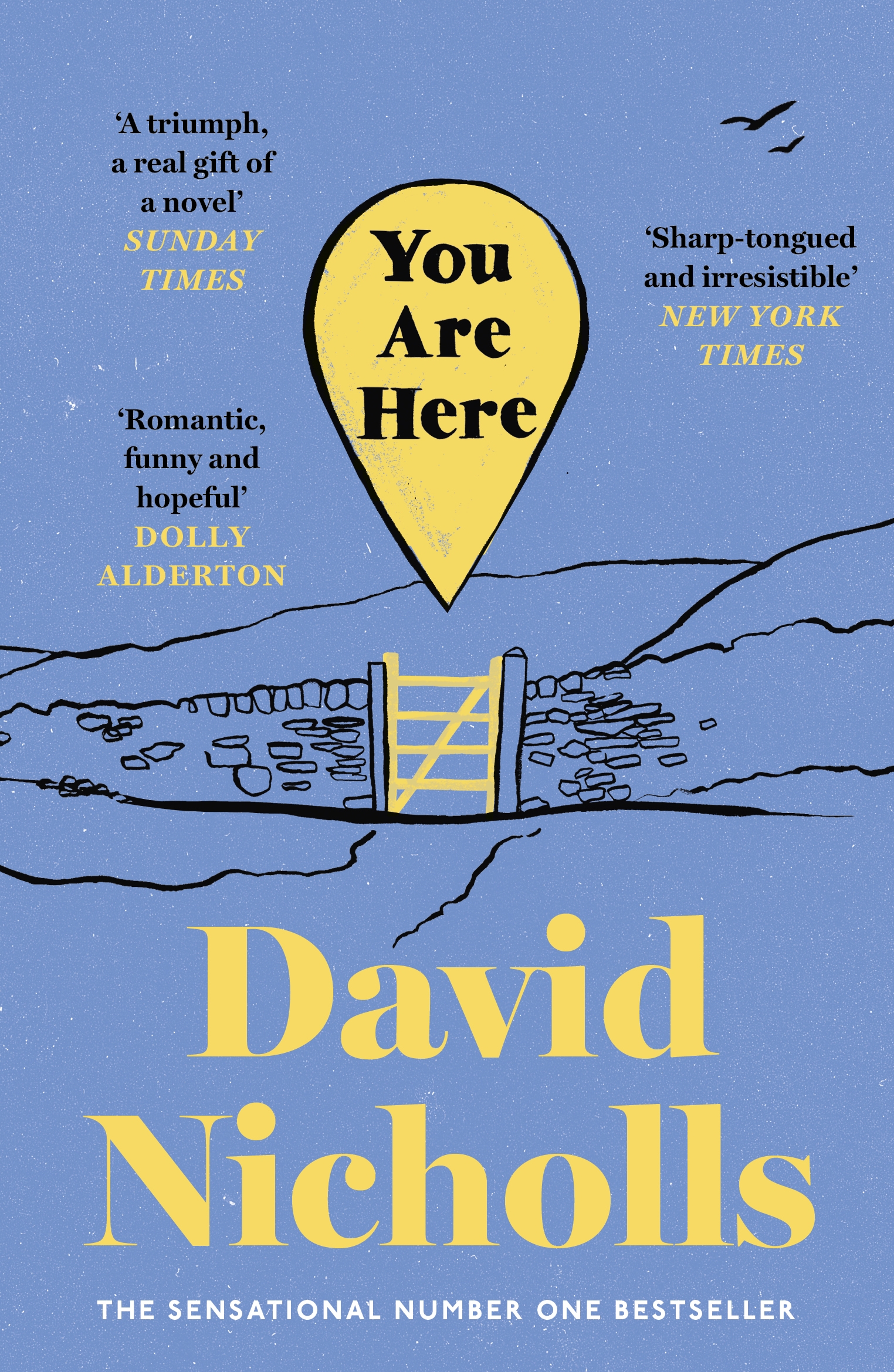 You Are Here by David Nicholls