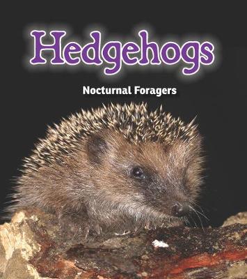 Hedgehogs: Nocturnal Foragers
