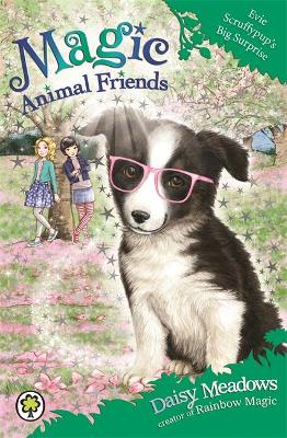 Magic Animal Friends: Evie Scruffypup's Big Surprise: Book 10
