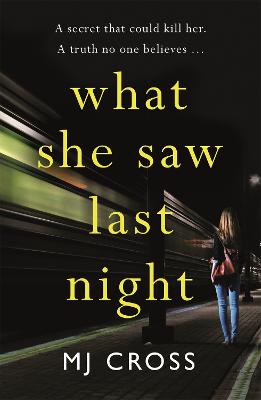 What She Saw Last Night by Mason Cross
