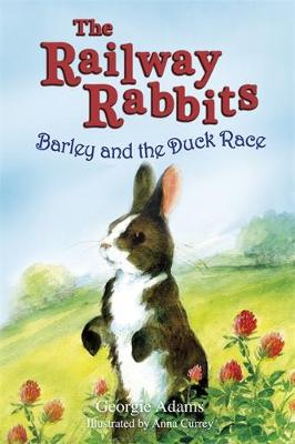 Barley and the Duck Race: Book 9