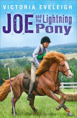 Joe and the Lightning Pony: Book 2