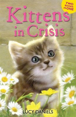 Animal Ark: Kittens in Crisis: Tabby in the Tub & Cats in the Caravan