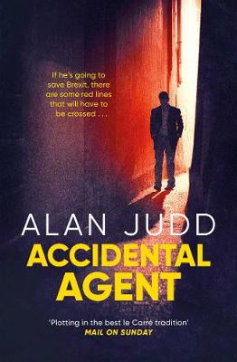 Accidental Agent by Alan Judd